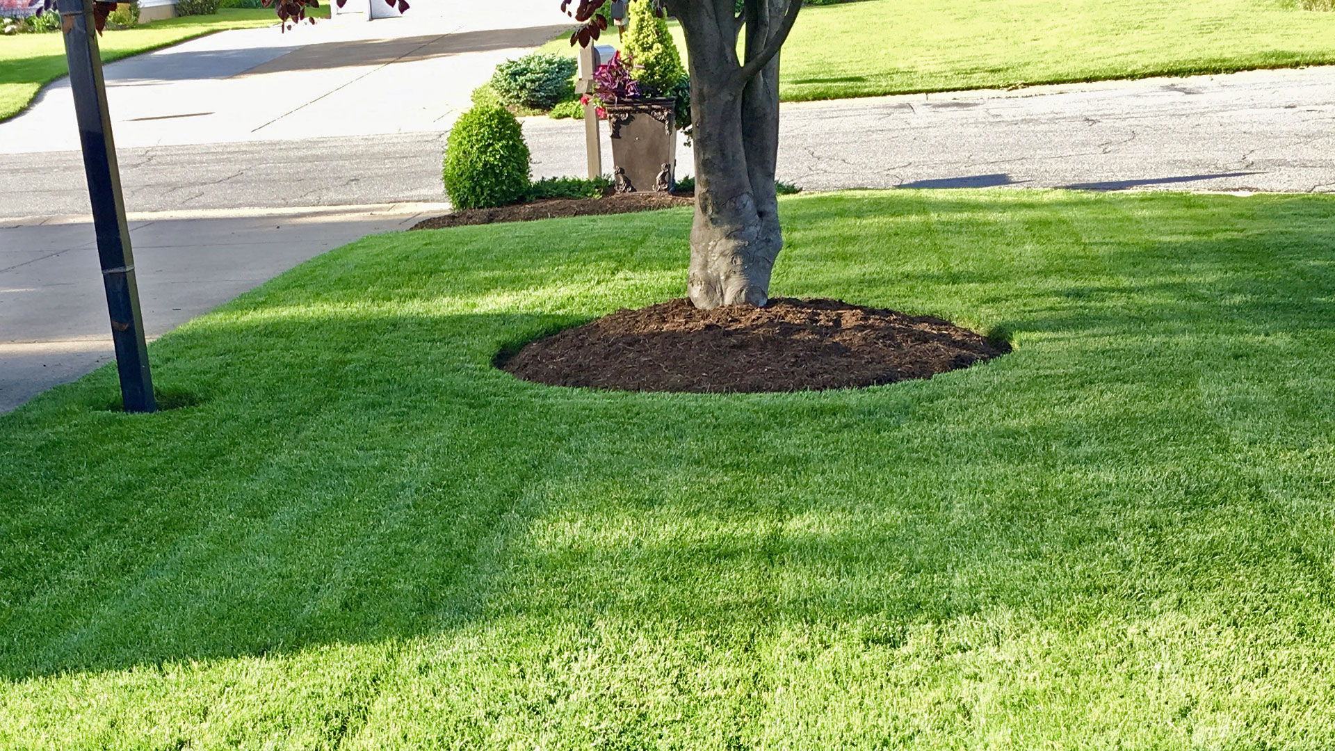 Lawn Mowing Services in Sandusky, Huron, & Vermilion, OH Executive Lawn & Landscape