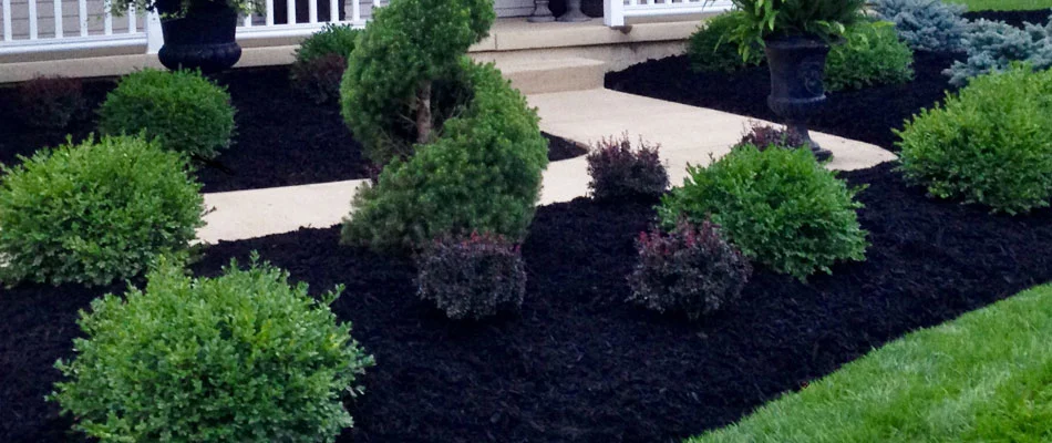 Black mulch that was refreshed during the spring at a home in Huron.