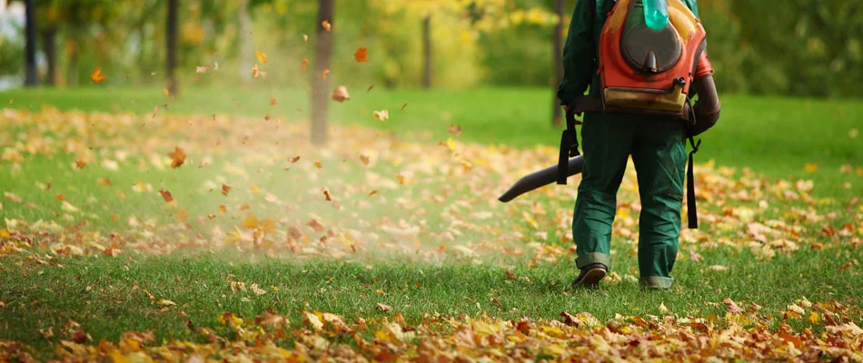 Fall leaf cleanup and leaf blowing in Sandusky