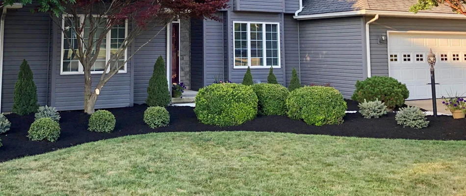 Our trimming experts trimmed all the shrubs and hedges at this home in Sandusky.