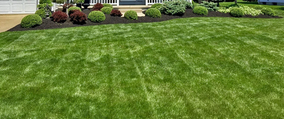 Our team mows and maintains this lush green lawn at a home in Sandusky, OH.