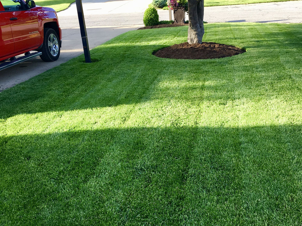Our Lawn & Landscape Work Gallery Sandusky Area Executive Lawn