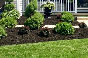 Landscape Trimming, Mulch Installation, Lawn Mowing, & Yard Cleanups in