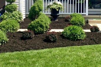 Recently installed dark mulch at a home in Vermilion, OH.