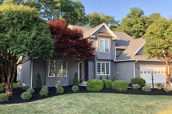 Fall yard cleanup, we removed all leaves, debris, and trimmed all the shrubs and trees.