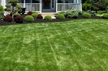 Mowed lawn with stripes at a home in Sandusky, OH.